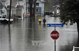 3 con đê bị vỡ, thành phố Montreal, Canada ban bố tình trạng khẩn cấp