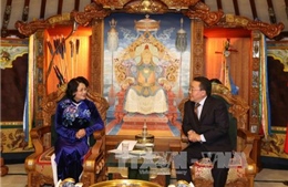 Hoạt động của Phó Chủ tịch nước Đặng Thị Ngọc Thịnh tại Mông Cổ