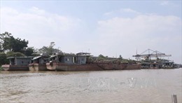 Bắt giữ tàu hút cát trái phép trên sông Lạch Trường, Thanh Hóa
