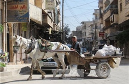 Syria không muốn LHQ giám sát thỏa thuận 4 vùng giảm căng thẳng