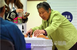 Lan tràn tin giả về bầu cử Tổng thống Hàn Quốc