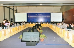 Thảo luận nhiều nội dung hướng tới Hội nghị lần thứ hai các quan chức cao cấp APEC 