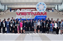 APEC 2017: Hơn 200 đại biểu tham dự các cuộc họp đầu tiên tại Hội nghị SOM 2