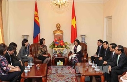 Phó Chủ tịch nước Đặng Thị Ngọc Thịnh thăm trường Hồ Chí Minh tại Mông Cổ