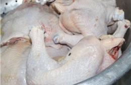 Công ty thực phẩm sạch kinh doanh gần 50kg lườn gà chưa có hồ sơ kiểm soát giết mổ