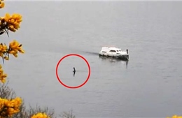 ‘Quái vật hồ Loch Ness’ bất ngờ trồi lên, ngỏng cổ di chuyển gần tàu du lịch