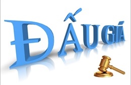 Công ty CP bán đấu giá Sao Việt thông báo bán đấu giá tài sản