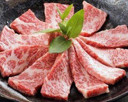 Hà Nội sắp có thịt bò Kobe tự sản xuất