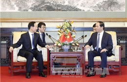 Chủ tịch nước tiếp Phó Chủ tịch Chính hiệp Trung Quốc Vương Gia Thụy