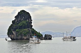 Quảng Ninh: Đình chỉ hoạt động tàu du lịch &#39;chặt chém&#39; khách