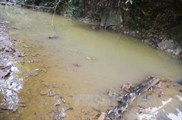Phú Thọ yêu cầu Nhà máy giấy Thuận Phát xử lý nguồn nước thải gây ô nhiễm