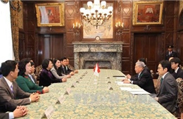 Phó Chủ tịch nước Đặng Thị Ngọc Thịnh gặp Chủ tịch Thượng viện Nhật Bản