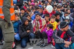 Số người di cư đến châu Âu giảm mạnh
