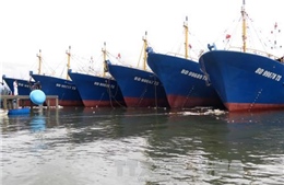 Đóng tàu vỏ thép ở Bình Định: Hợp đồng một đằng, thực hiện một nẻo