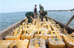 Quảng Ninh: Bắt giữ hàng trăm kg tôm, ốc hương không rõ nguồn gốc 