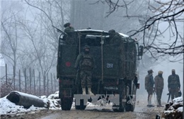 Ấn Độ, Pakistan đấu súng dọc Đường Ranh giới Kiểm soát ở Kashmir