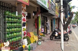 Chưa thống kê được số người bán hàng rong hoa quả tại Hà Nội