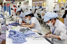 Việt Nam khó đạt mục tiêu tăng trưởng kinh tế khi năng suất giảm