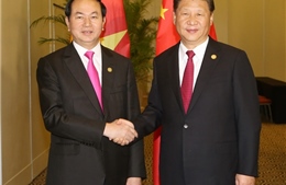 Chủ tịch nước Trần Đại Quang gửi điện cảm ơn Tổng Bí thư, Chủ tịch Trung Quốc Tập Cận Bình 
