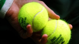 Cấm thi đấu vĩnh viễn tay vợt Nhật Bản dàn xếp tỷ số
