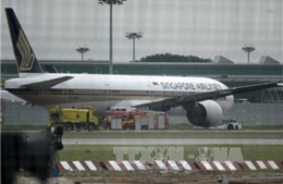 Singapore Airlines lỗ ròng vì cạnh tranh khốc liệt
