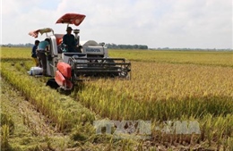 Chuyên gia Bỉ: Tương lai nông nghiệp Việt Nam phải là công nghệ cao
