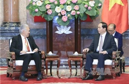 Chủ tịch nước đề nghị Indonesia giải quyết vấn đề tàu cá Việt Nam bị bắt giữ trên tinh thần nhân đạo