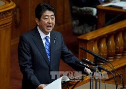 Nhật Bản nỗ lực theo đuổi TPP 11