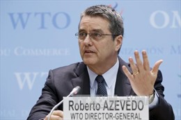 Tổng giám đốc WTO: Không có dấu hiệu cho thấy Mỹ rời khỏi WTO