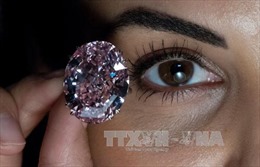  Chiếc nhẫn kim cương 26 cara được bán với giá &#39;đồng nát&#39;