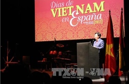 Phát biểu của Phó Thủ tướng Phạm Bình Minh tại Diễn đàn kinh tế Việt Nam - Tây Ban Nha