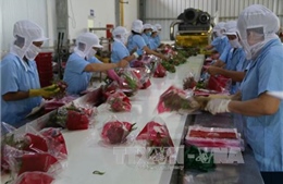 Bộ NN&PTNT &#39;đặt hàng&#39; các Đại sứ mở rộng thị trường xuất khẩu nông sản 