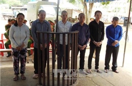Xét xử băng nhóm trộm chó chuyên nghiệp tại Tây Ninh