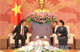 Đoàn đại biểu Đảng Dân tiến Nhật Bản thăm Việt Nam 