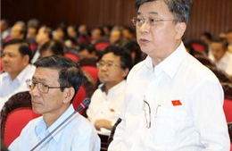Đại biểu Quốc hội: Lợi ích nhất thời sẽ hủy hoại bán đảo Sơn Trà 
