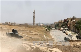 Lực lượng Iraq trên đà tiến mạnh mẽ tại Mosul 