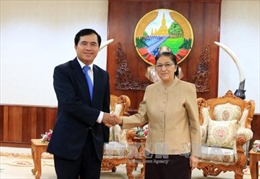 Việt Nam xúc tiến dự án xây dựng tòa nhà Quốc hội Lào 