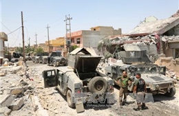 IS chuẩn bị &#39;tử thủ&#39; tại thành phố Mosul