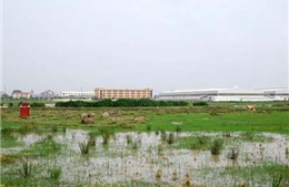 Bắc Ninh thu hồi 48 dự án khảo sát địa điểm quá thời hạn chưa thực hiện 