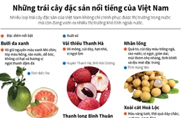 Những trái cây đặc sản nổi tiếng của Việt Nam