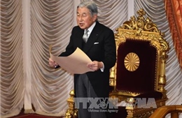 Hạ viện Nhật Bản thông qua dự luật cho phép Nhật hoàng thoái vị 