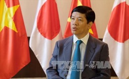 Đại sứ Việt Nam tại Nhật Bản hy vọng vào làn sóng đầu tư mới của Nhật Bản