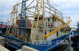 Bình Định thành lập Tổ công tác thẩm định chất lượng tàu vỏ thép 