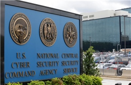 Mỹ bắt giữ nhân viên NSA &#39;rò rỉ&#39; thông tin vụ Nga can thiệp mạng