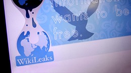 WikiLeaks: Mỹ biết về việc Qatar và Saudi Arabia hậu thuẫn khủng bố