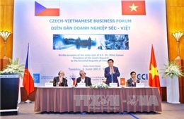 Thúc đẩy hợp tác thương mại giữa Việt Nam và Cộng hòa Czech 