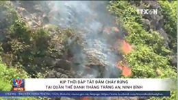 Cháy rừng tại quần thể danh thắng Tràng An, Ninh Bình