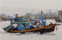 Các tỉnh từ Nghệ An đến Bình Thuận chủ động đối phó với áp thấp nhiệt đới 