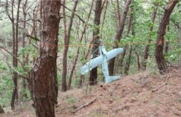 Hàn Quốc phát hiện máy bay do thám nghi của Triều Tiên 