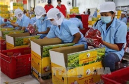 Những điều cần biết khi xuất khẩu hàng hóa vào Australia